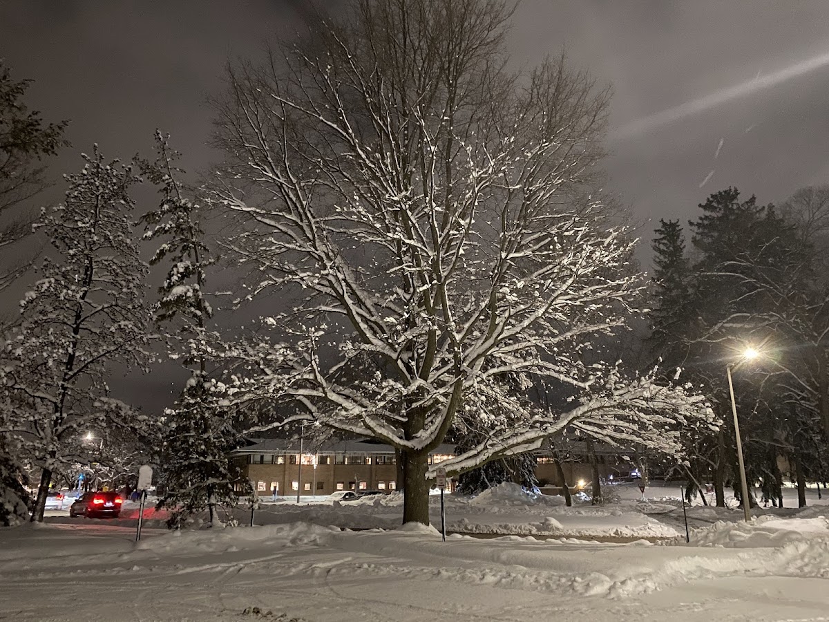 Calvin College photo 8