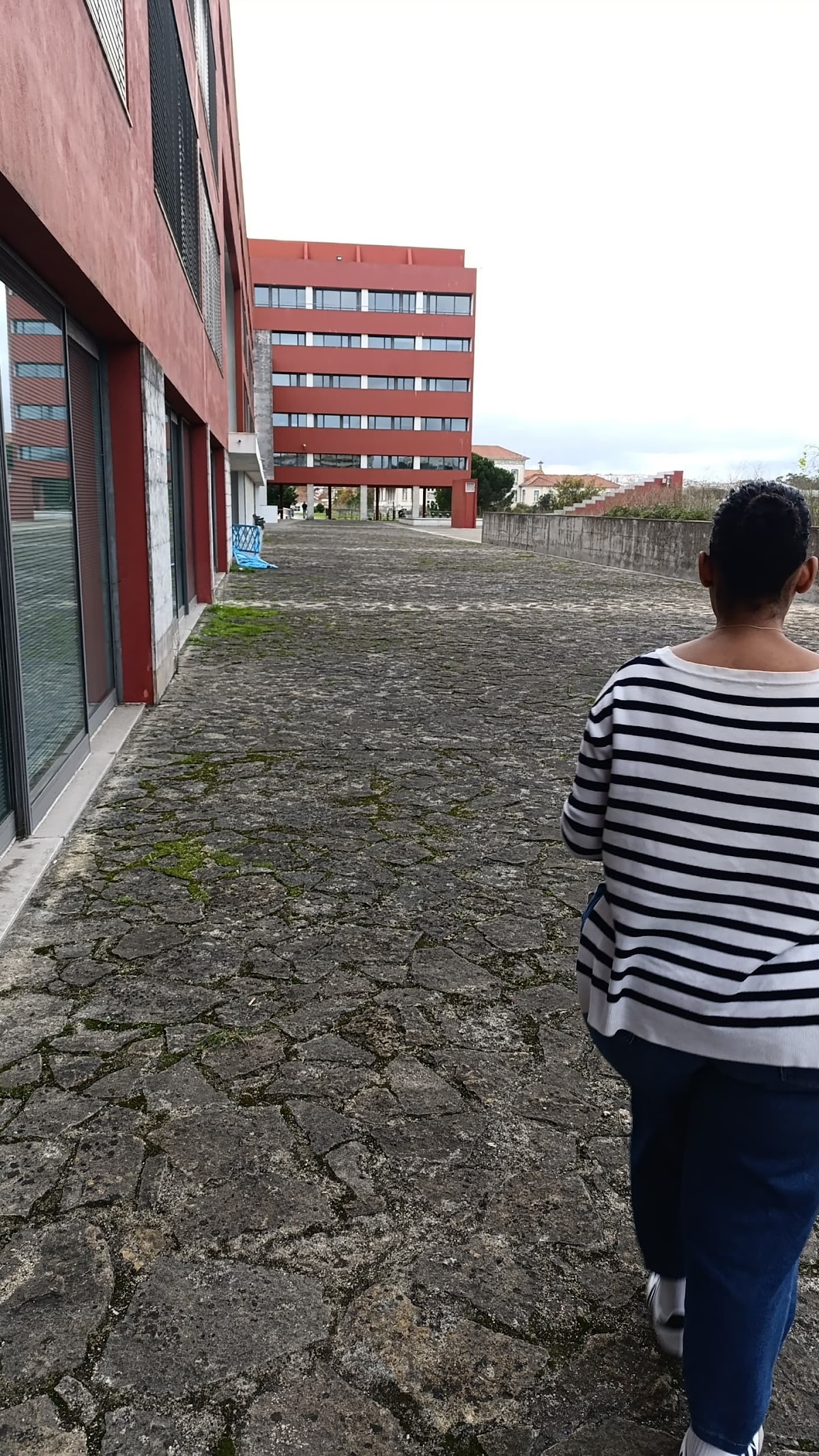 Escola Superior de Comunicação Social photo 9