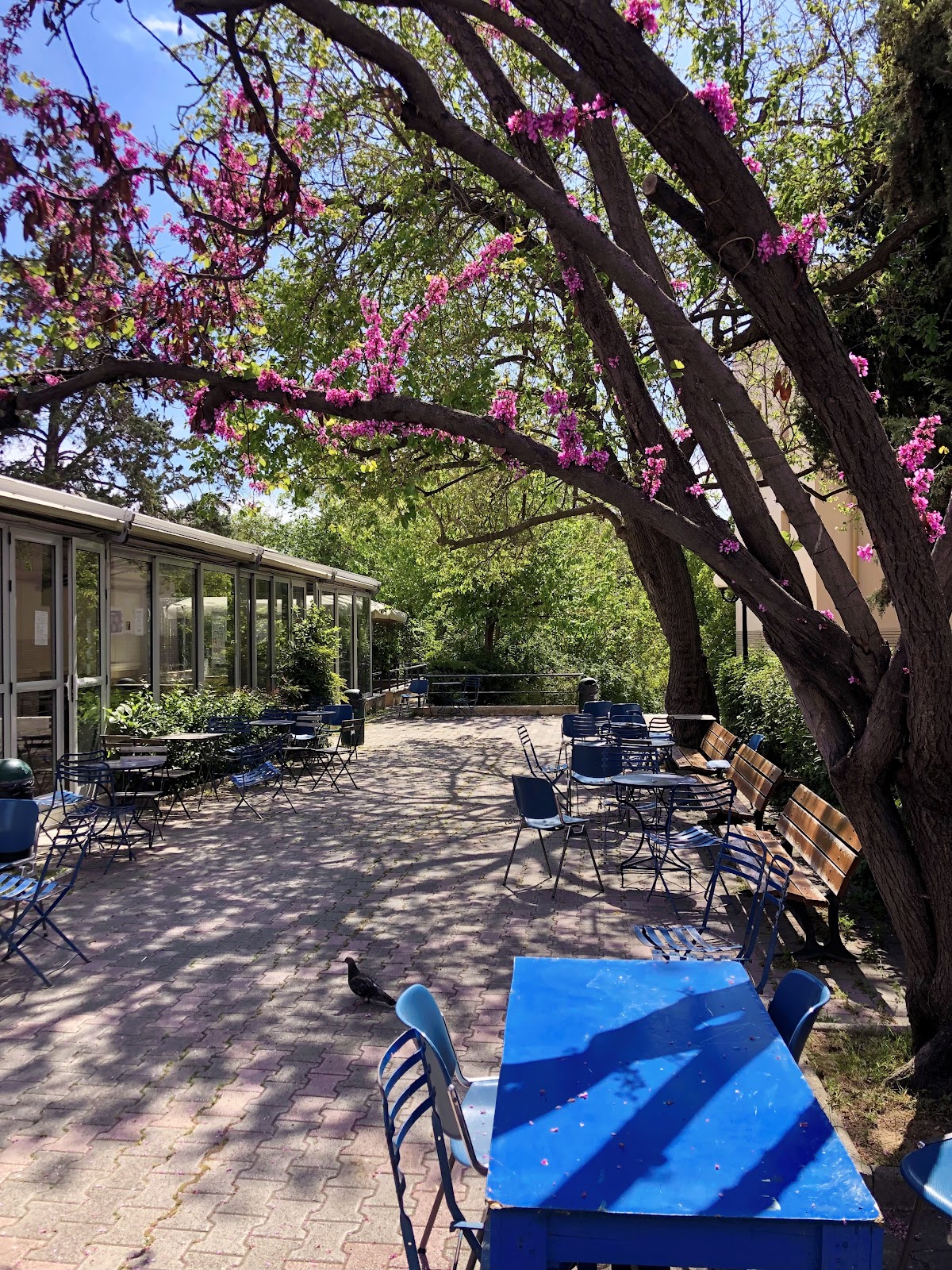 Harokopio University photo 8