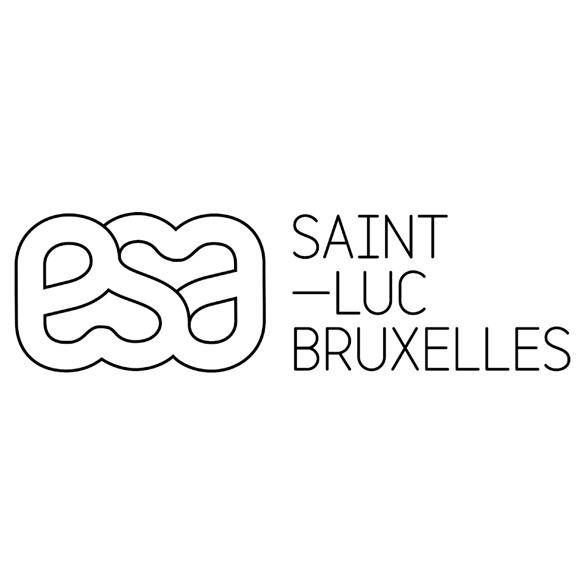 École Supérieure des Arts Saint-Luc Bruxelles photo 5