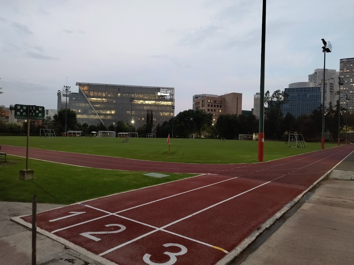 Ibero-American University photo 5