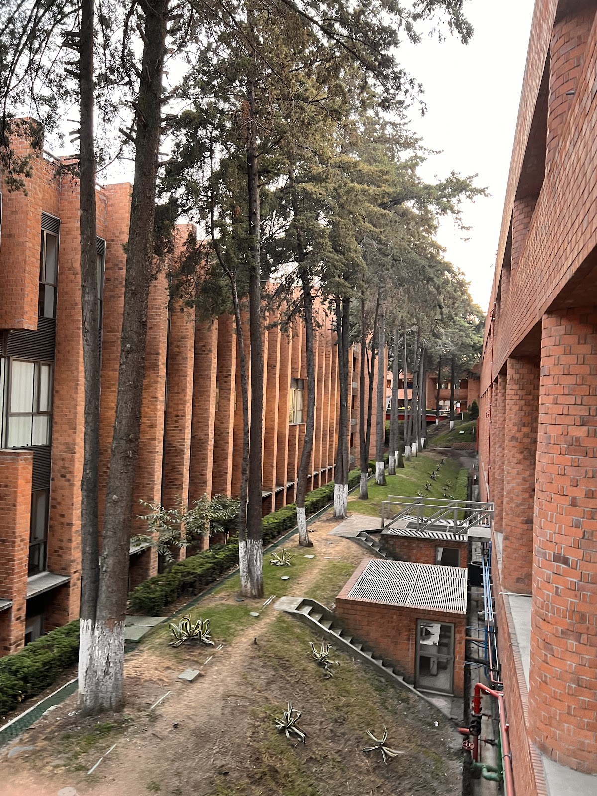 Ibero-American University photo 9