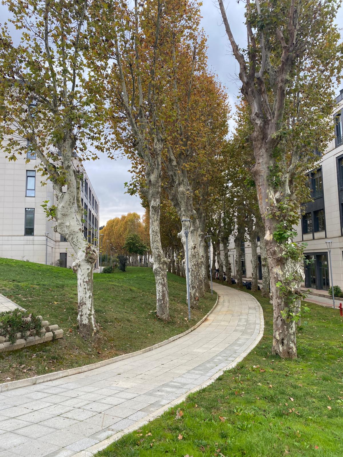 Türk-Alman University photo 8