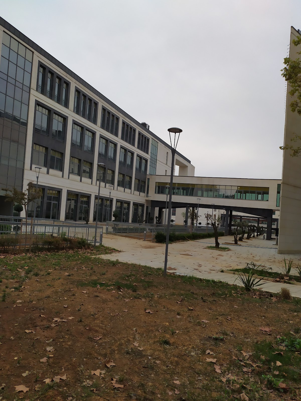 Türk-Alman University photo 9