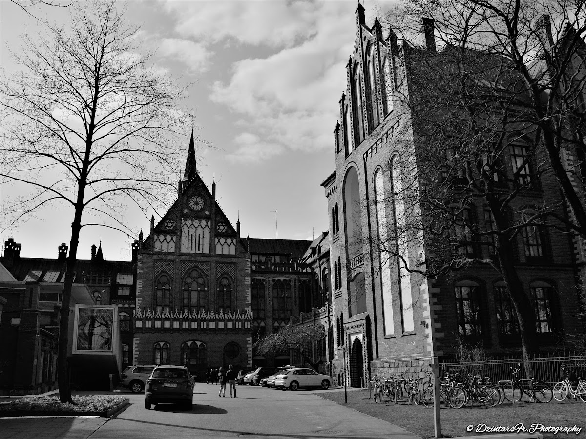 Art Academy of Latvia photo 4