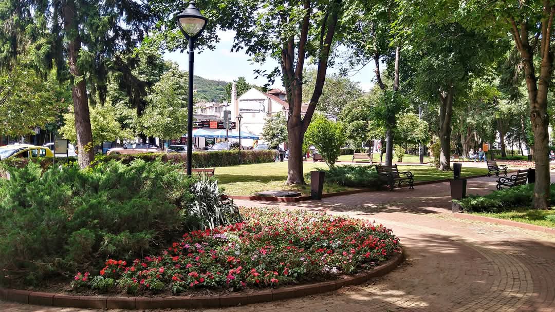 D. A. Tsenov Academy of Economics photo 4