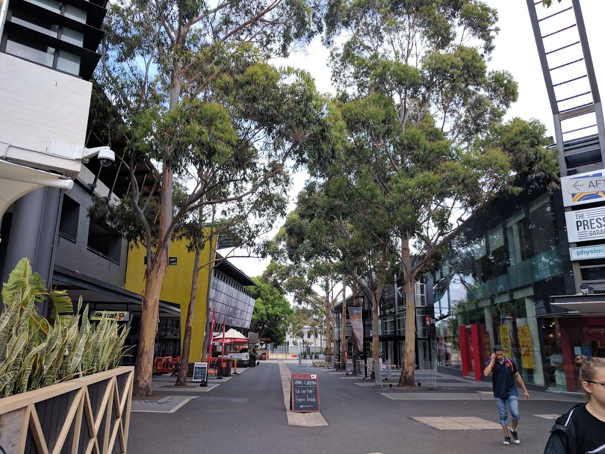 Australian Film Television and Radio School photo 7