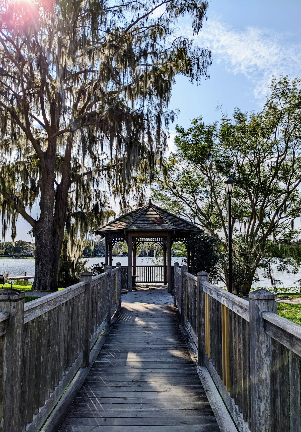 Rollins College photo 9