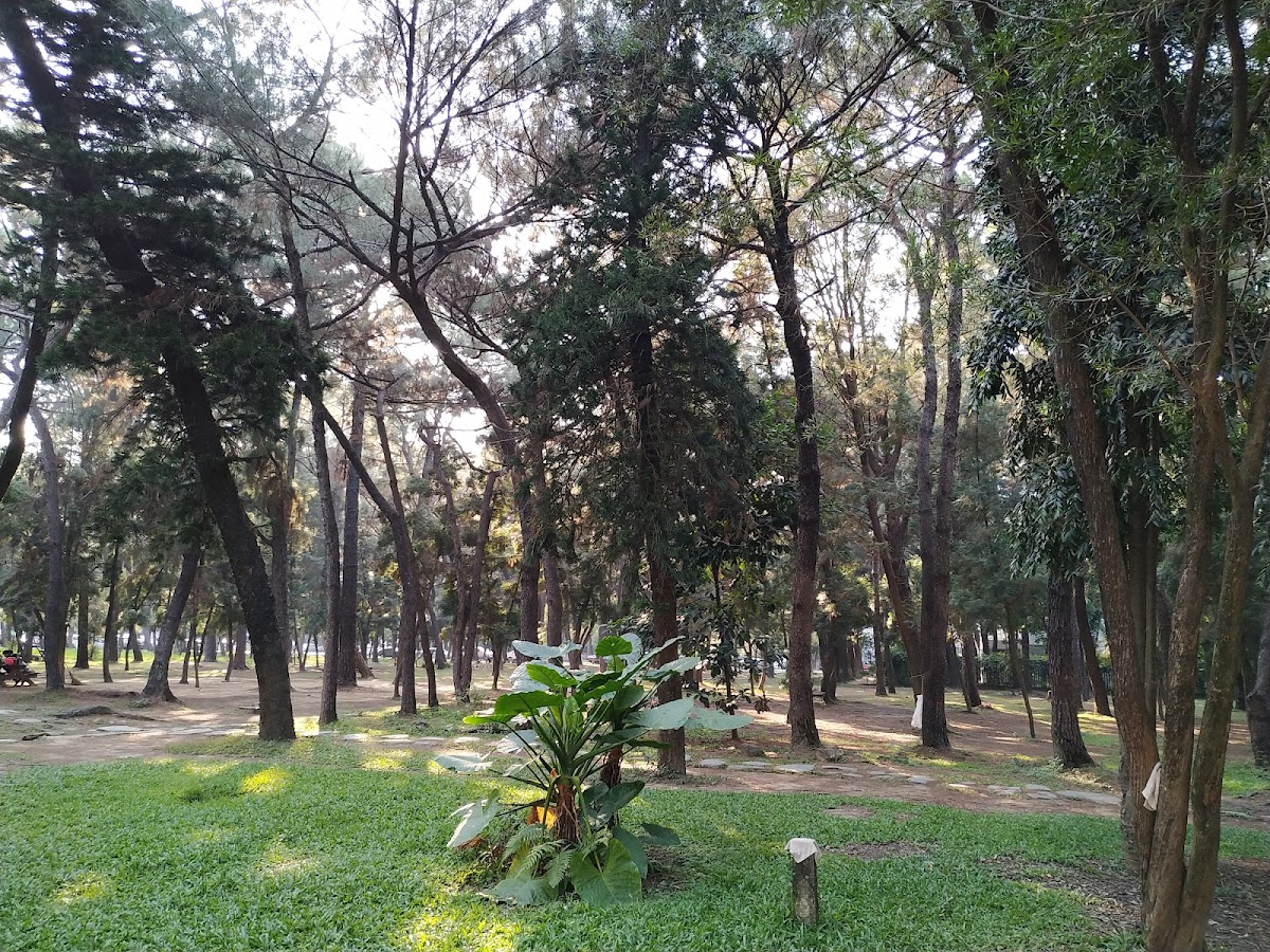 National Chung Hsing University photo 6