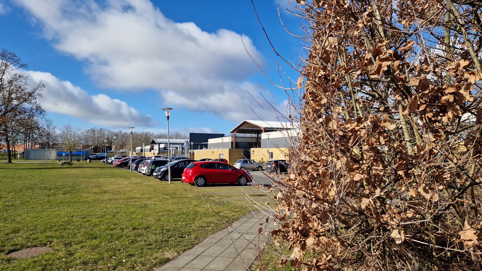 Syddansk Erhvervsskole