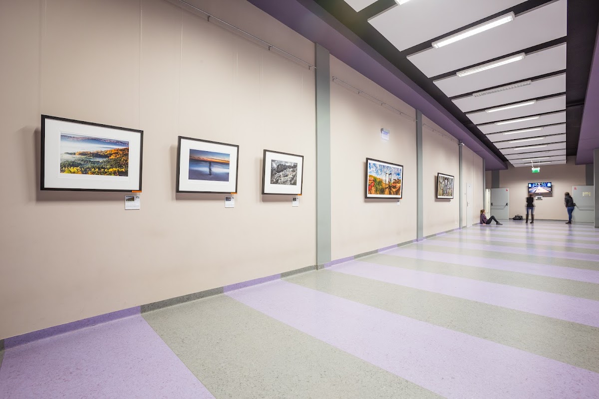 University of Bielsko-Biała photo 2