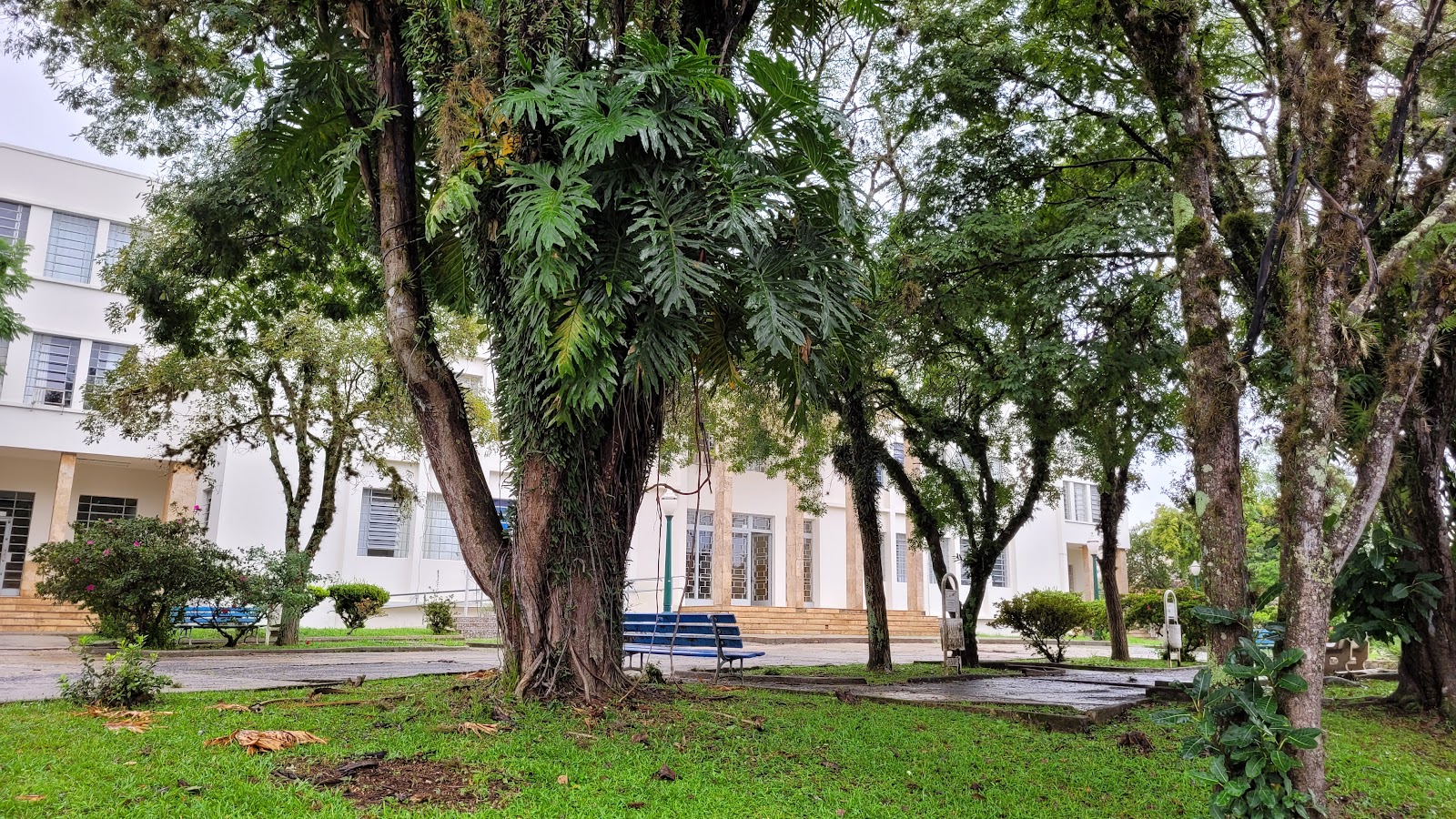 State University of Ponta Grossa