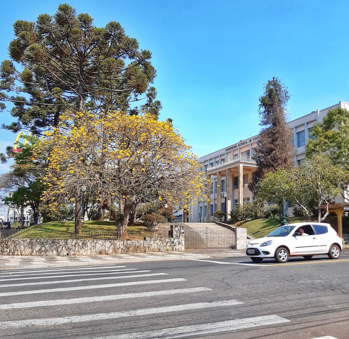 State University of Ponta Grossa photo 6
