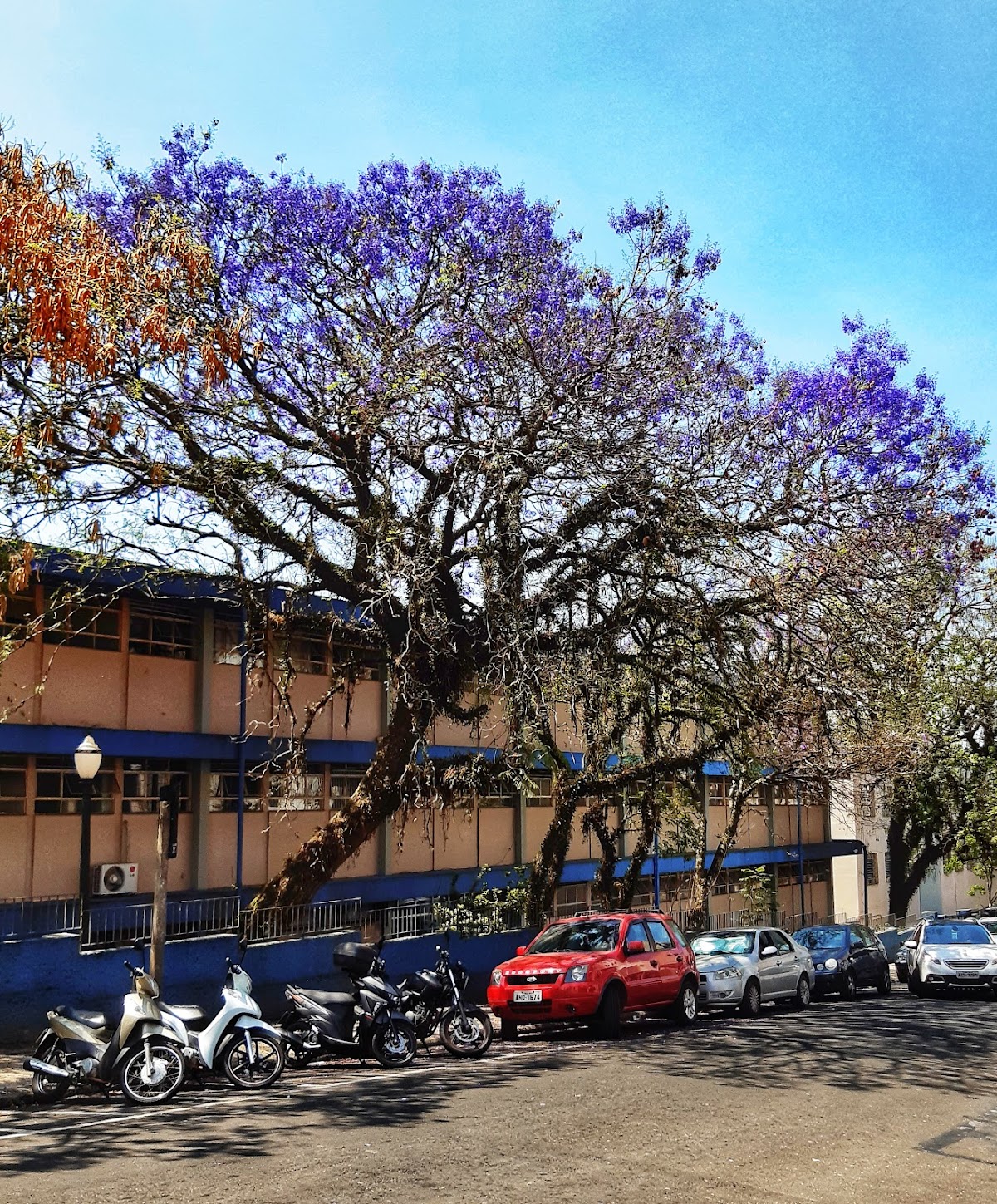 State University of Ponta Grossa photo 7