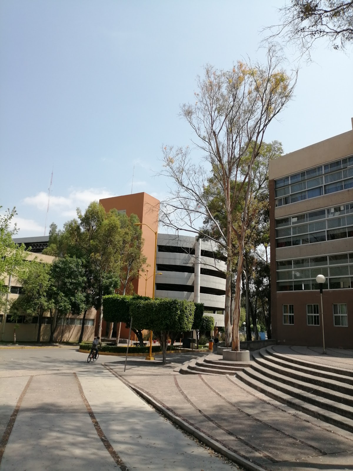 Autonomous University of San Luis Potosí photo 7