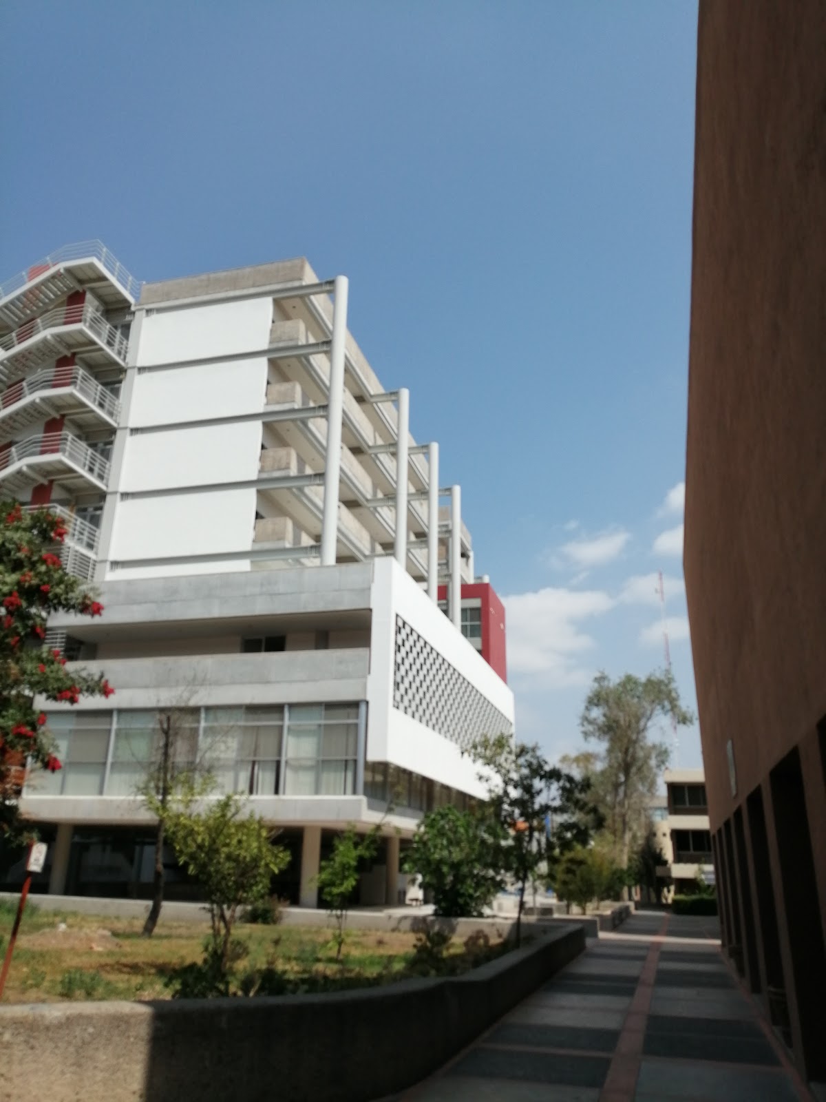Autonomous University of San Luis Potosí photo 8