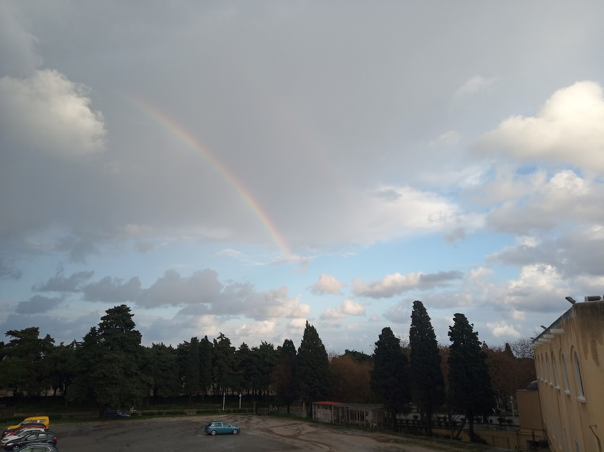 University of the Aegean (Rhodes) photo 5