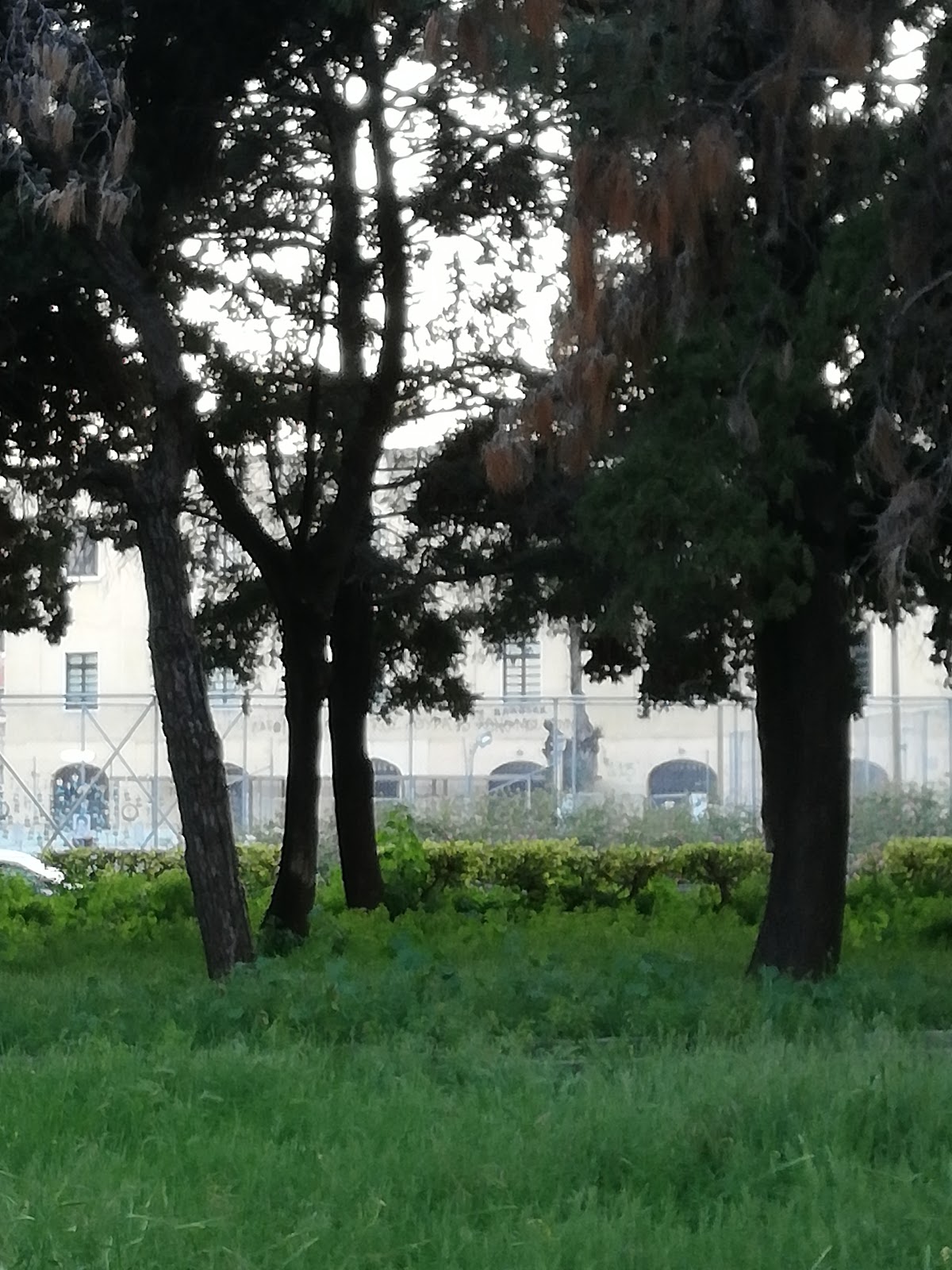 University of the Aegean (Rhodes) photo 7