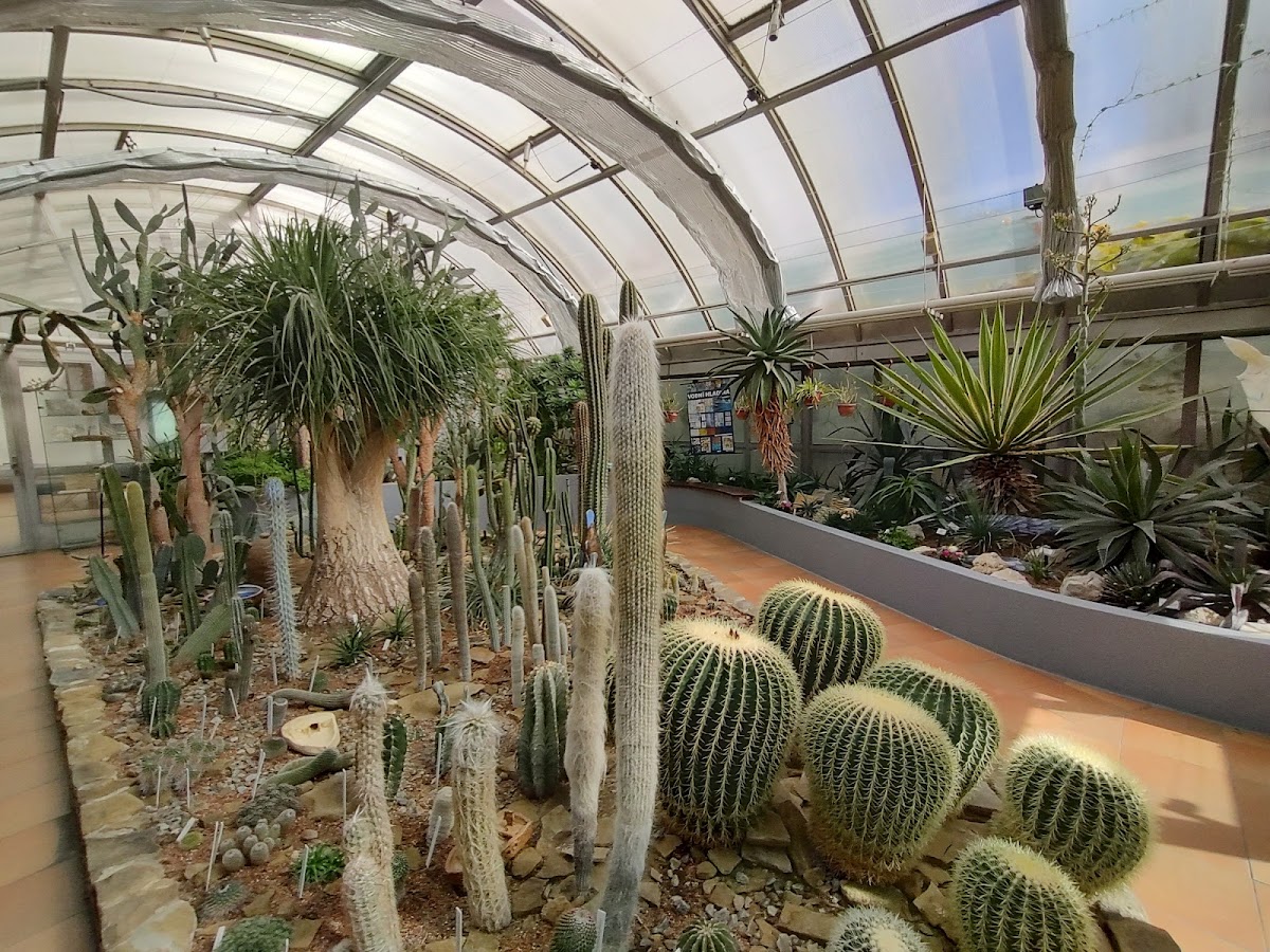 Masaryk University photo 3