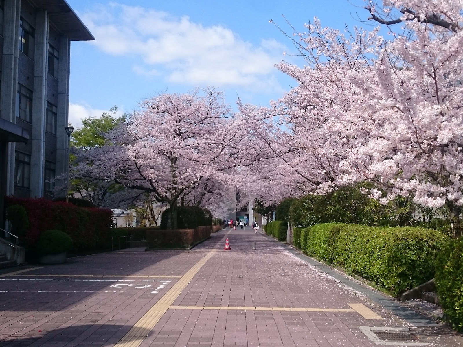 Ritsumeikan University