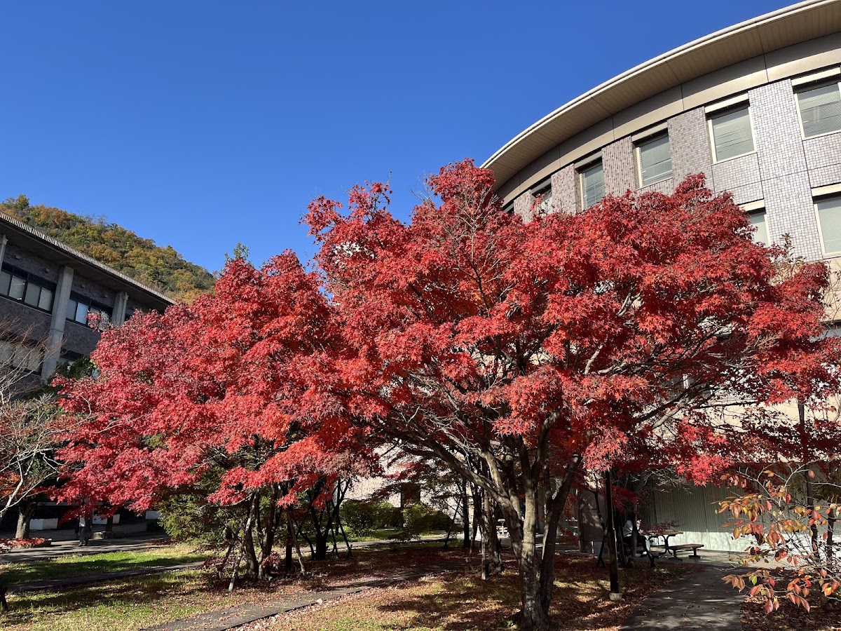 Ritsumeikan University photo 4