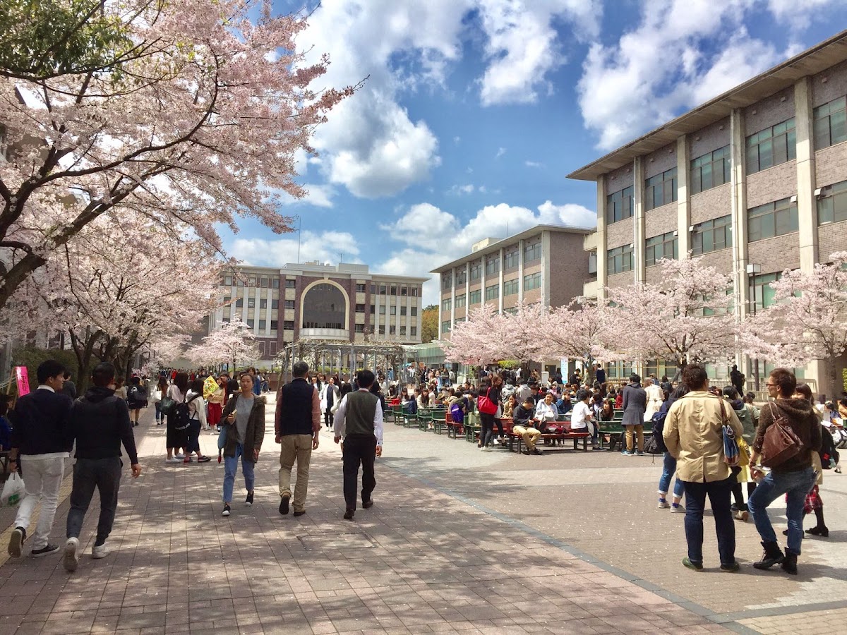 Ritsumeikan University photo 5