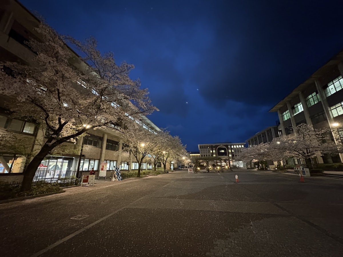 Ritsumeikan University photo 8