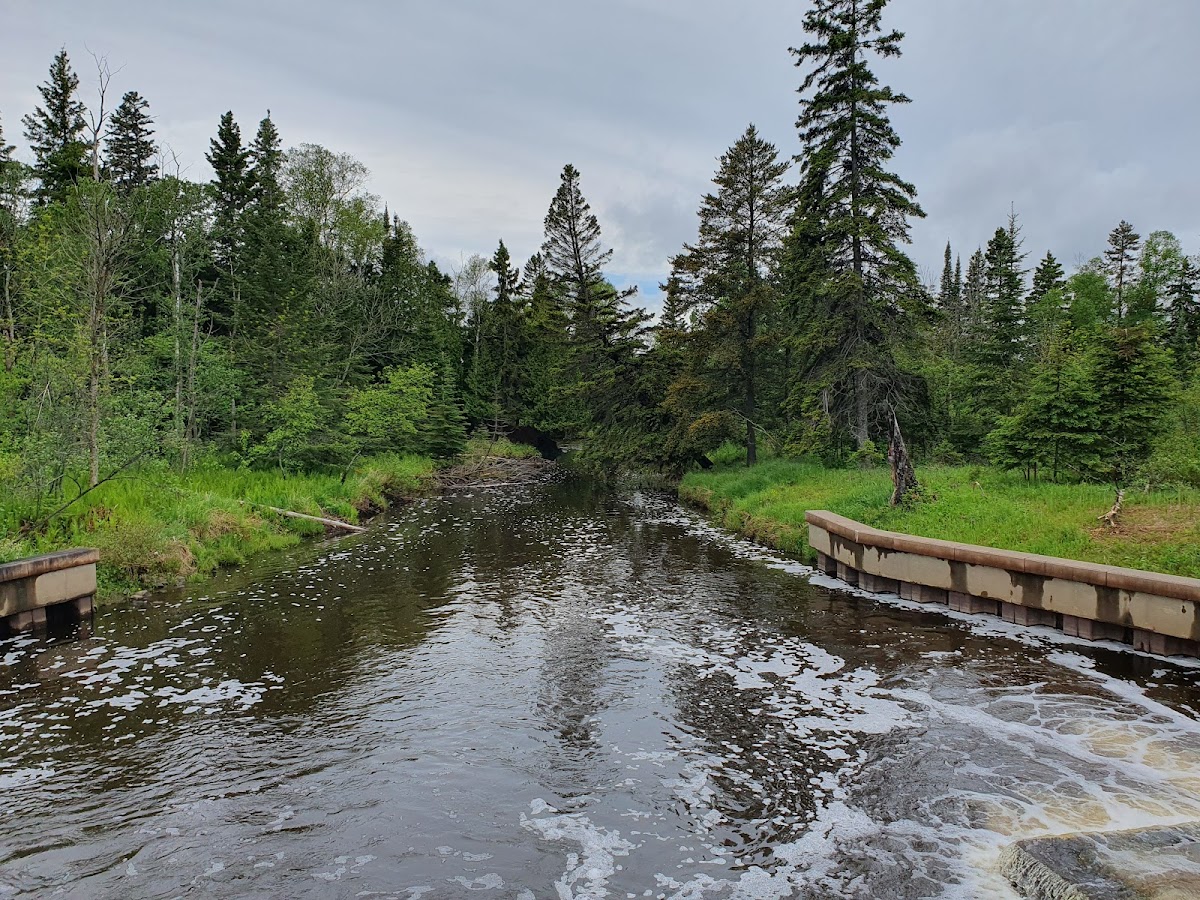 Lakehead University photo 3