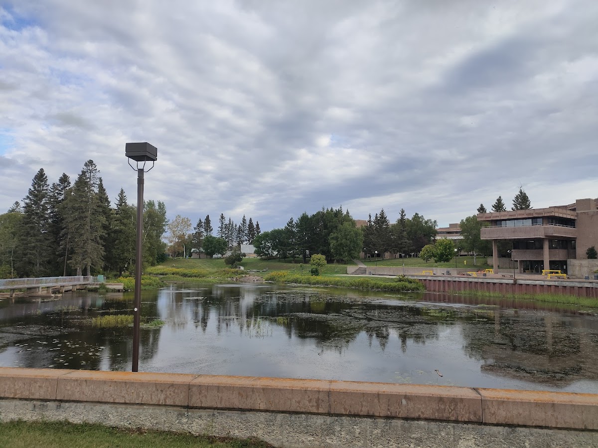 Lakehead University photo 4