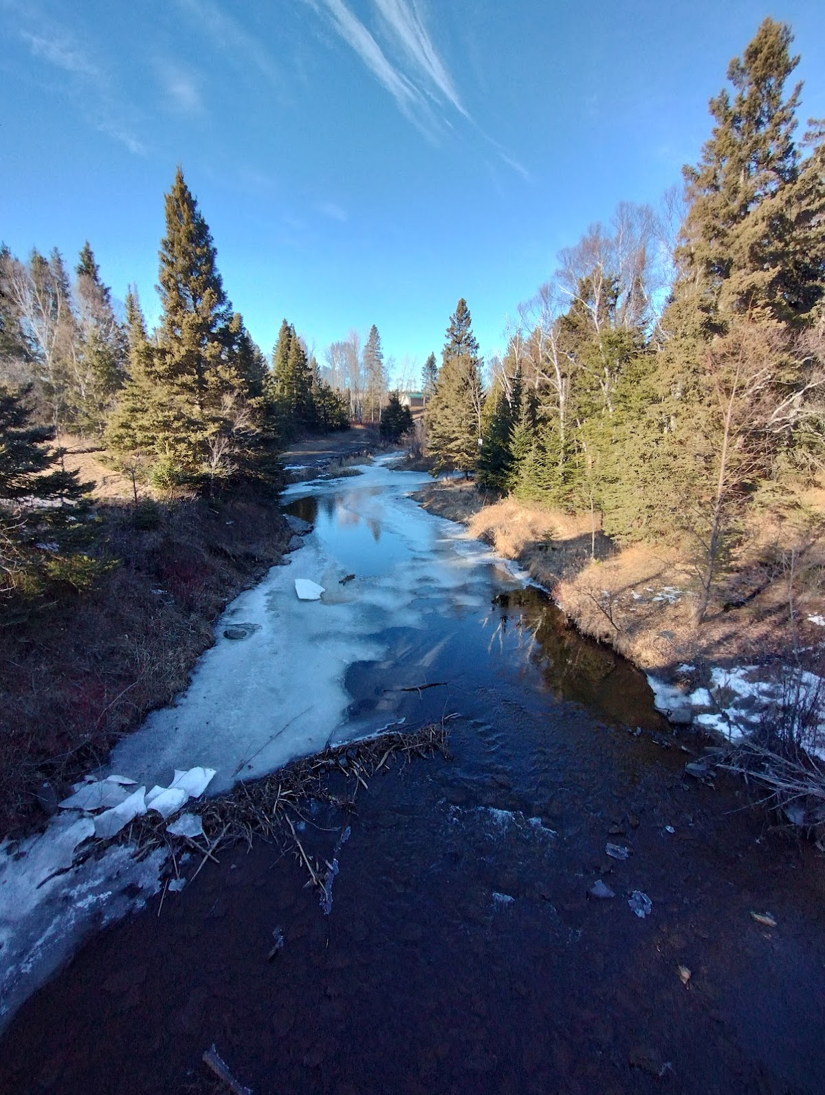 Lakehead University photo 8