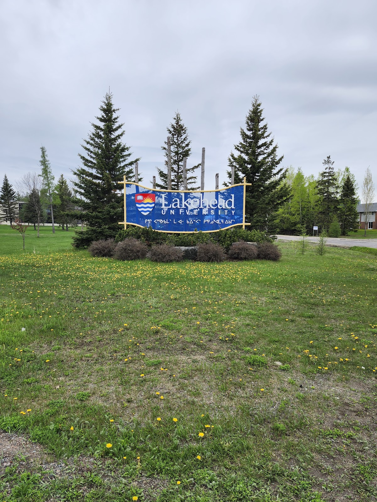 Lakehead University photo 9