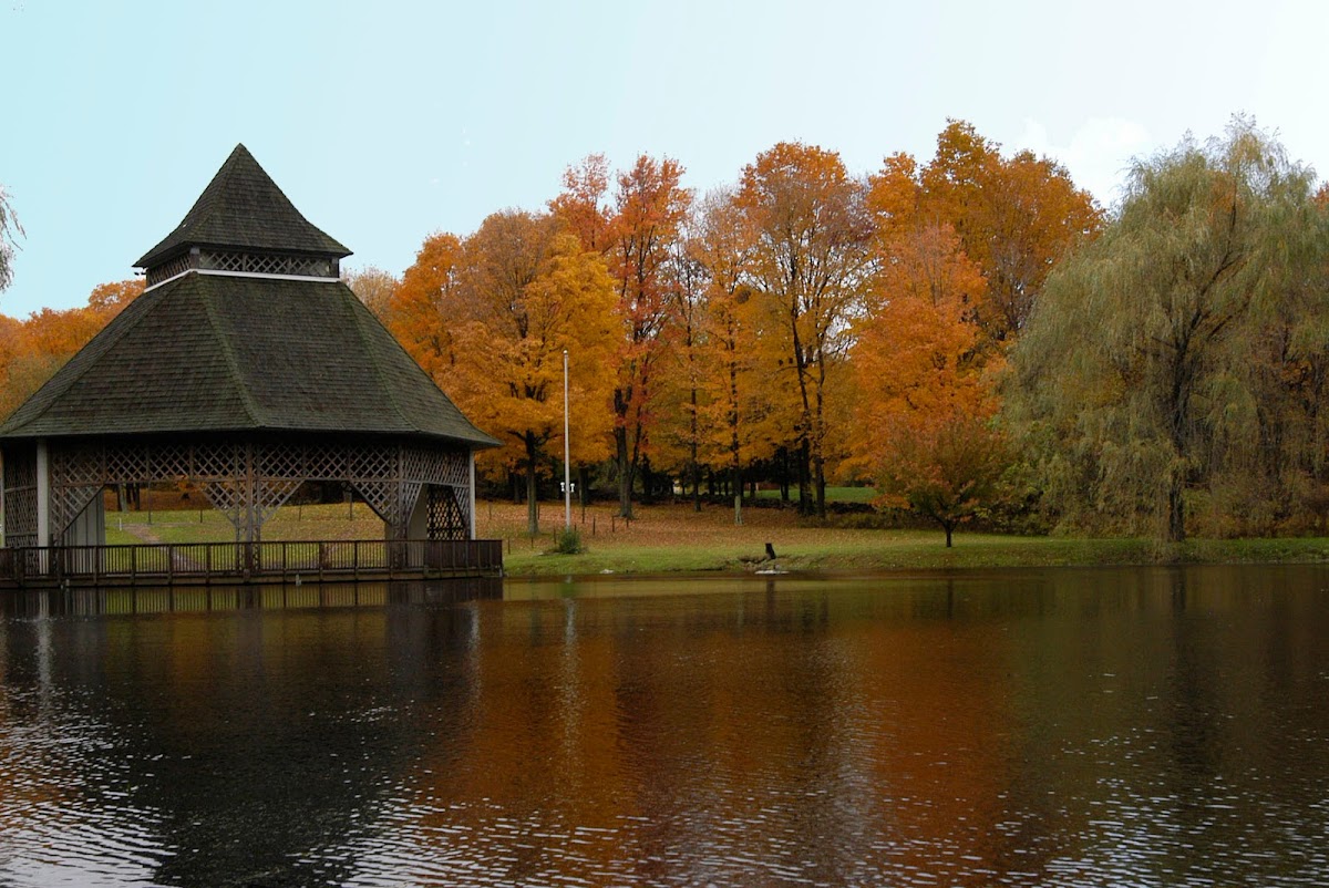 Western Connecticut State photo 3