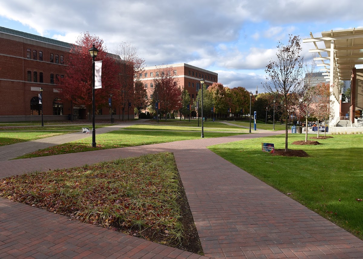 Western Connecticut State photo 4