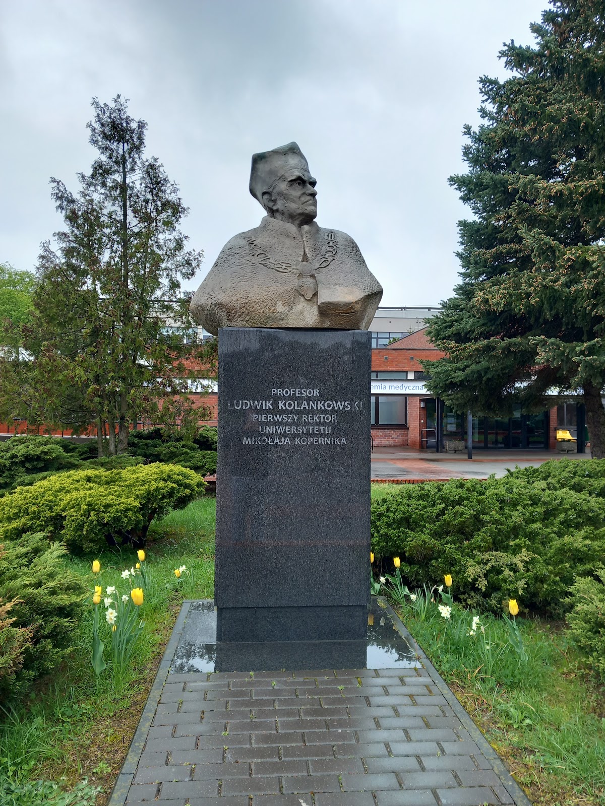 Nicolaus Copernicus University in Toruń photo 9