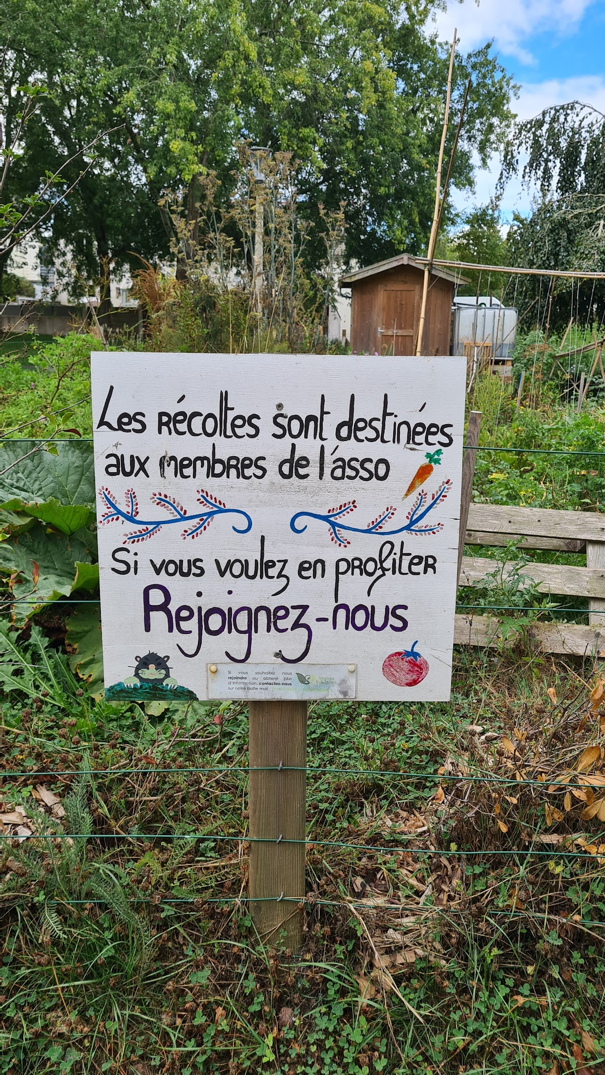 Université de Bretagne Sud photo 8