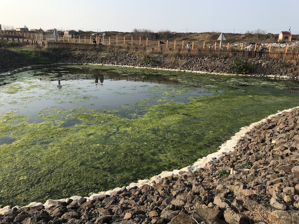 National Penghu University of Science and Technology photo 7