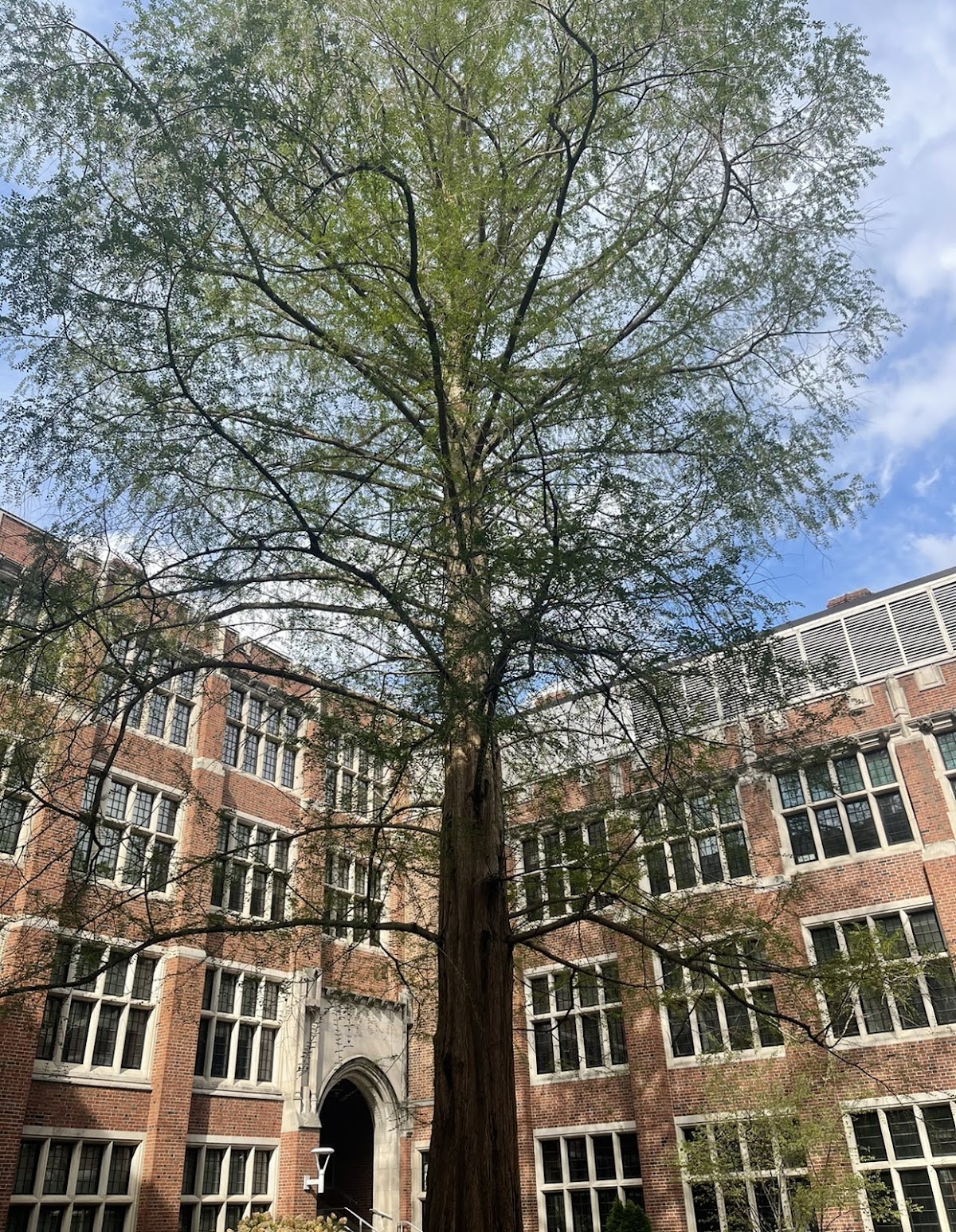 University of Toledo photo 7