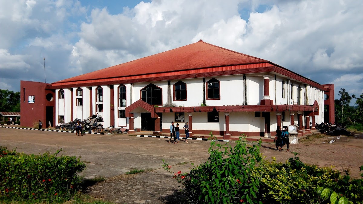 Ambrose Alli University photo 1