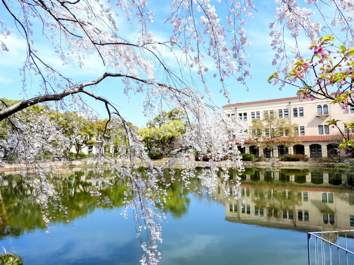 Kwansei Gakuin University photo 7
