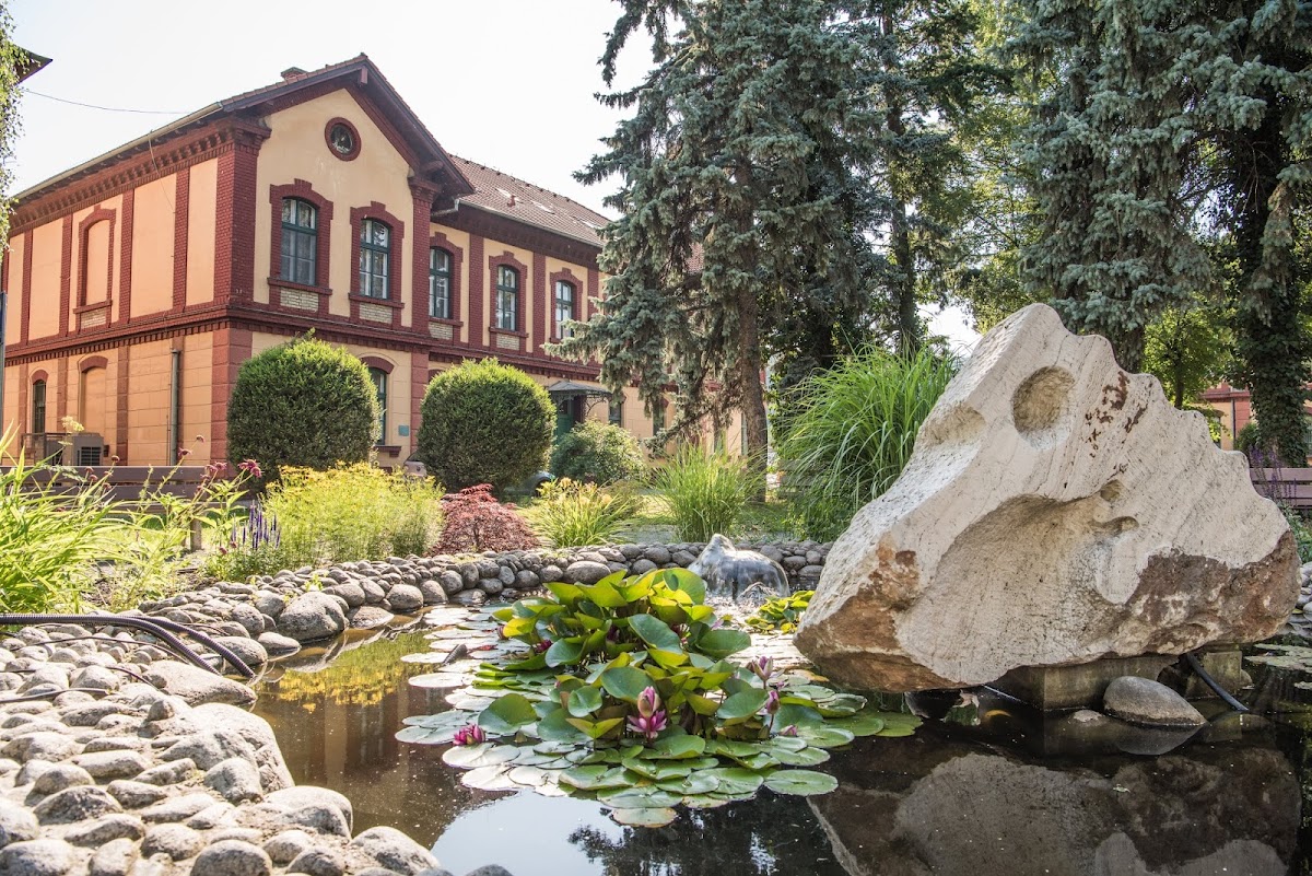 The University of Veterinary Medicine and Pharmacy in Košice photo 6