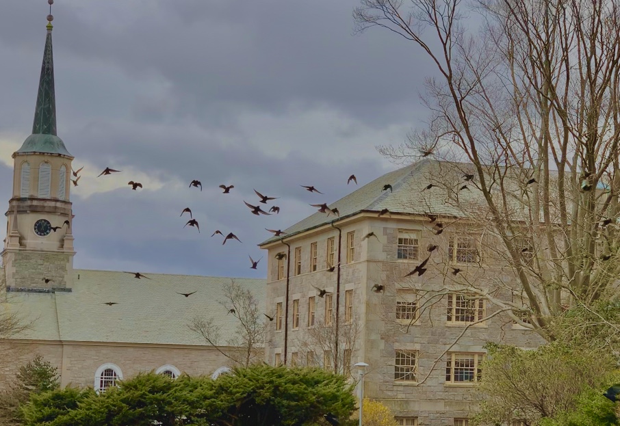 Connecticut College photo 1