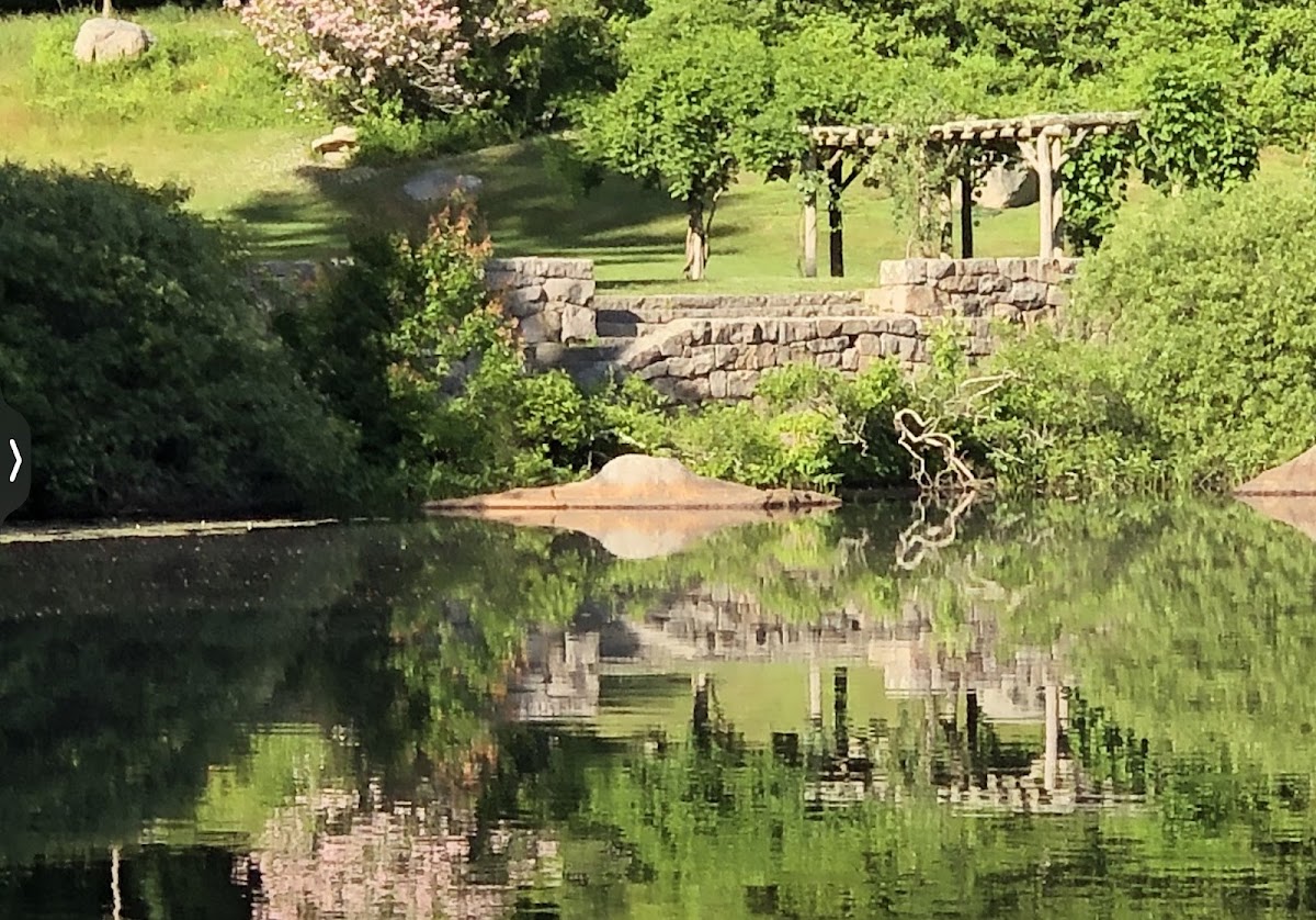 Connecticut College photo 2