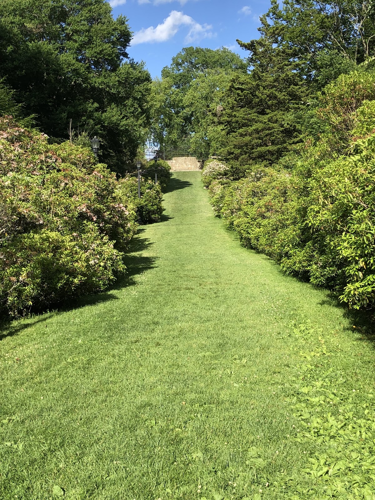 Connecticut College photo 9