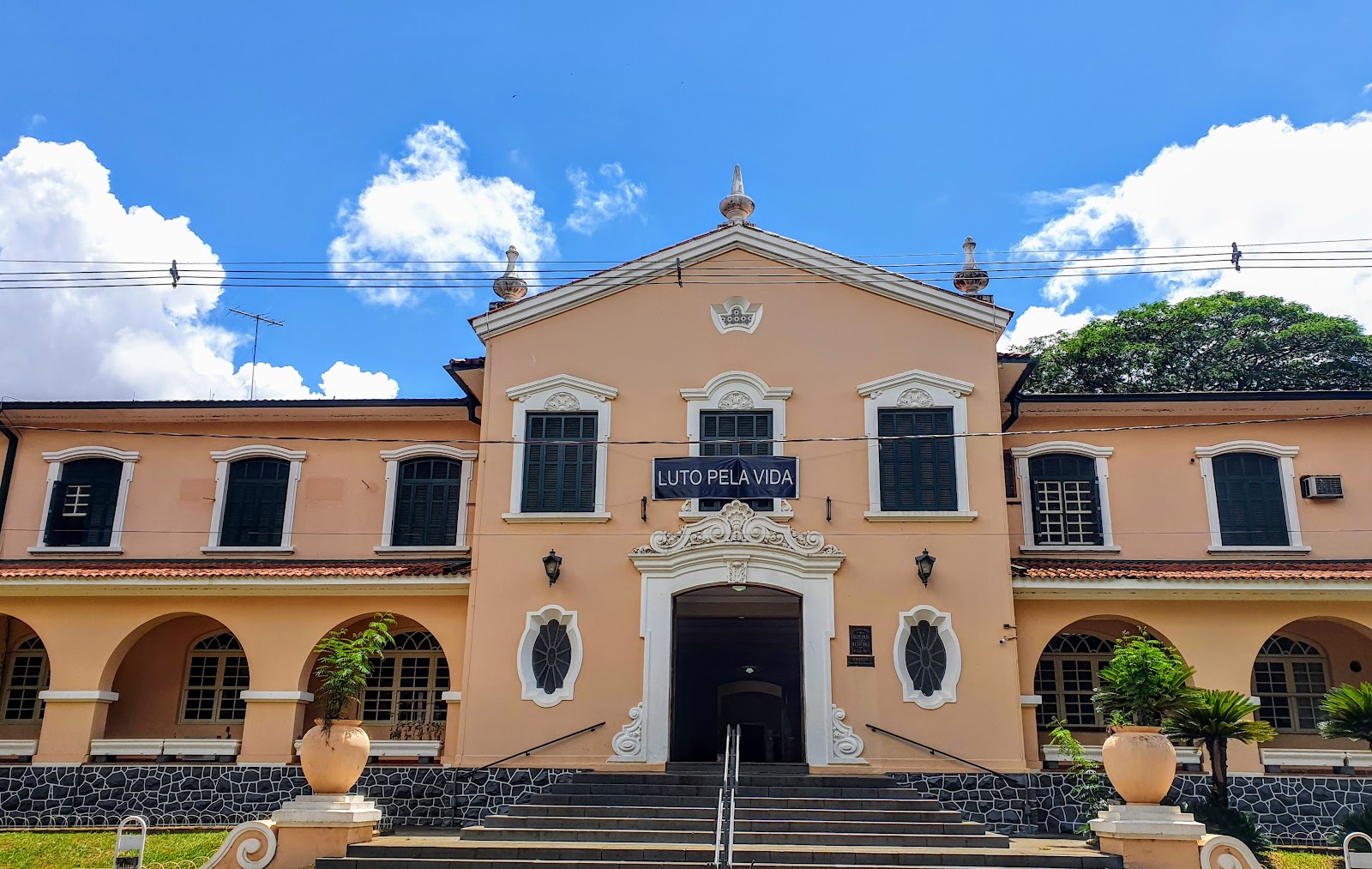 University of Ribeirão Preto