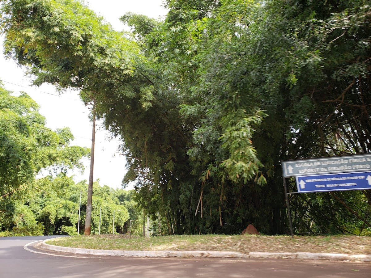 University of Ribeirão Preto photo 3