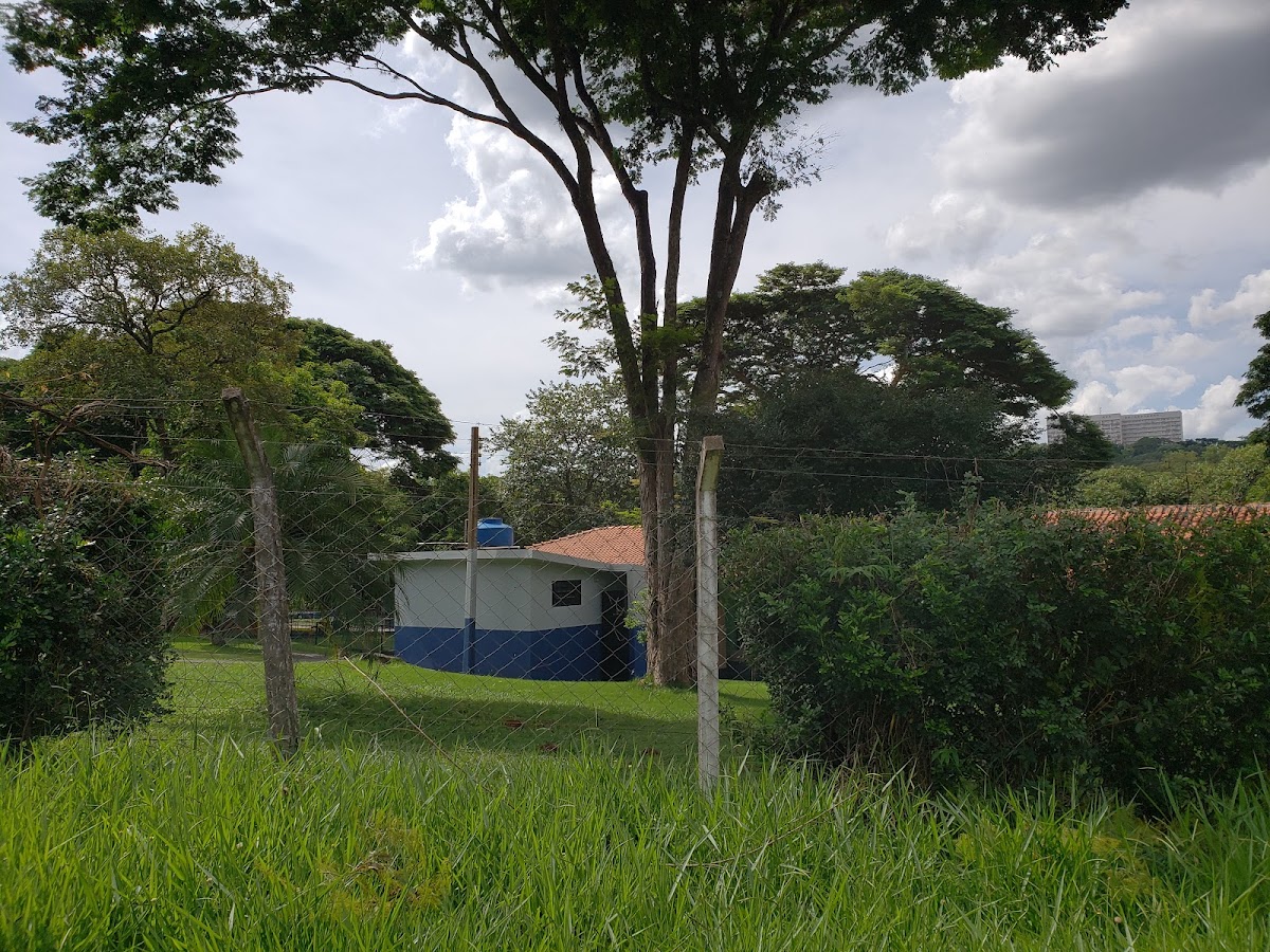 University of Ribeirão Preto photo 4