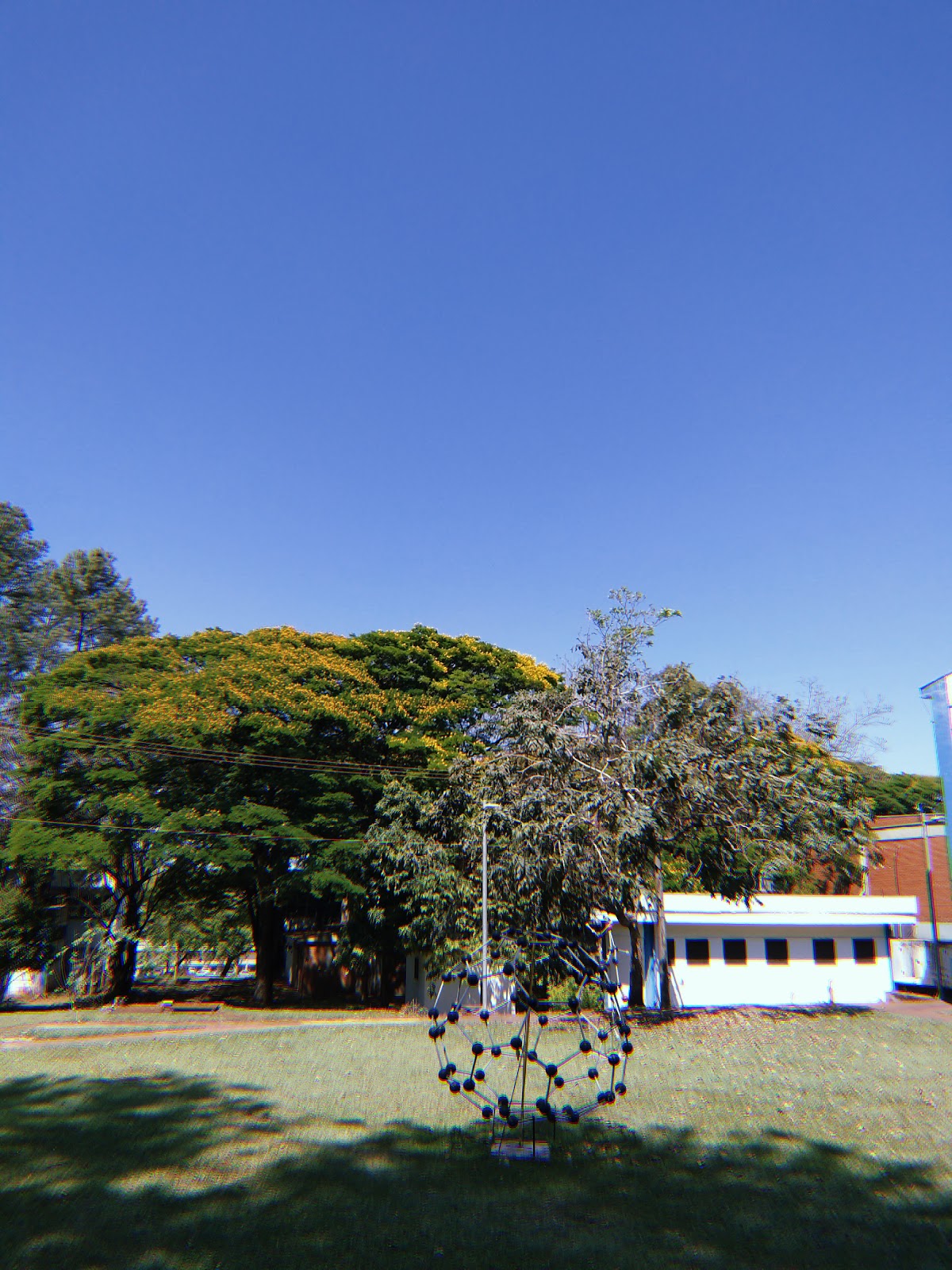 University of Ribeirão Preto photo 5