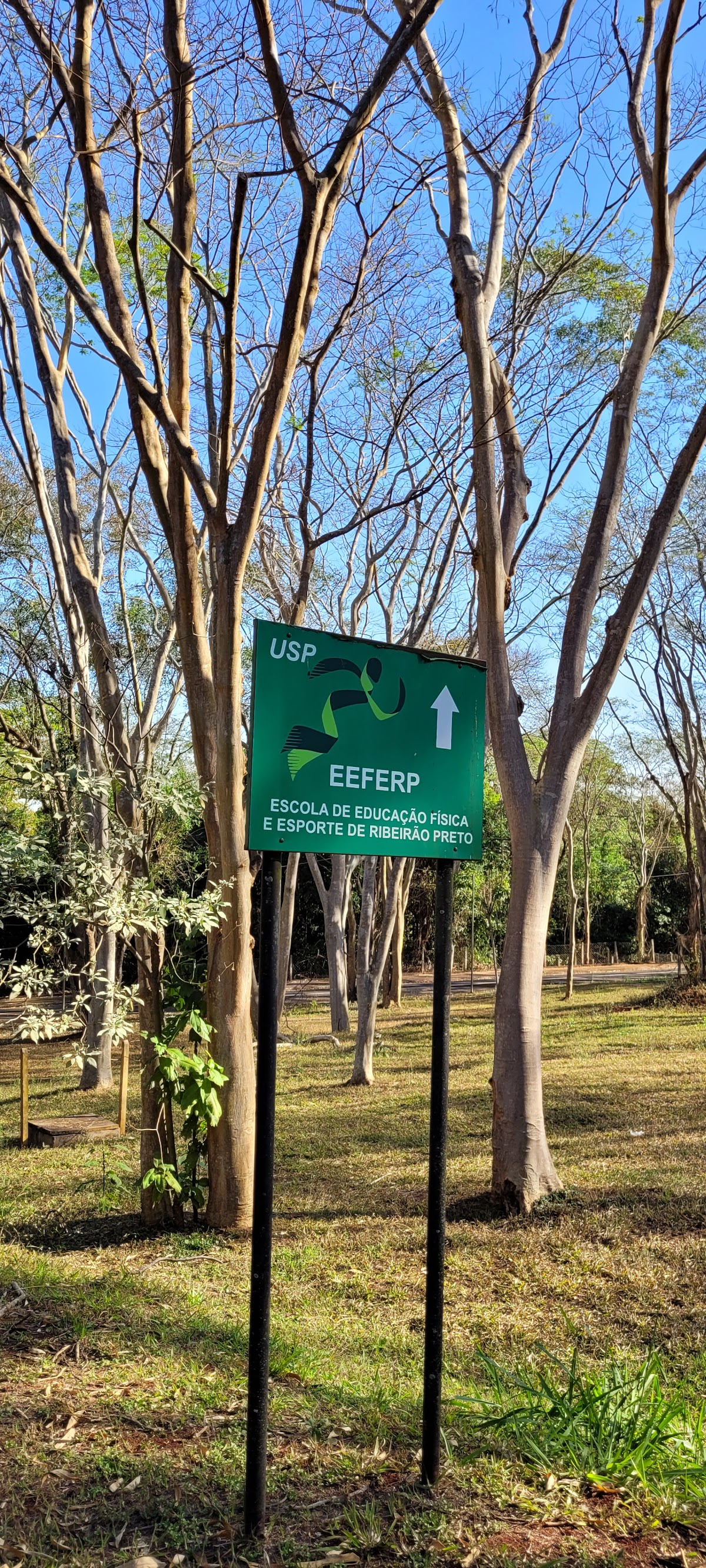 University of Ribeirão Preto photo 9