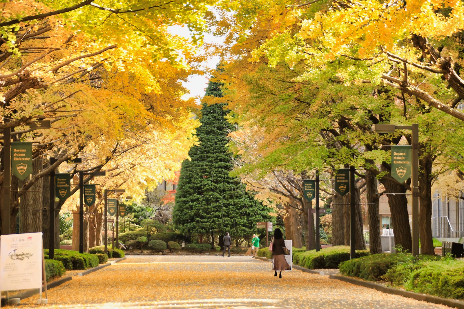 Aoyama Gakuin University