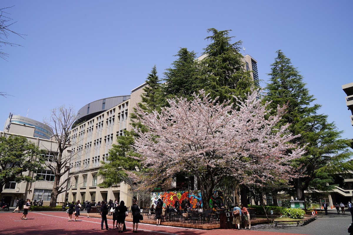 Aoyama Gakuin University photo 1